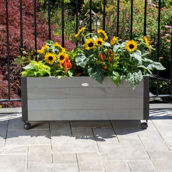 Grapevine 36IN FSC Recycled Wood Planter with Casters