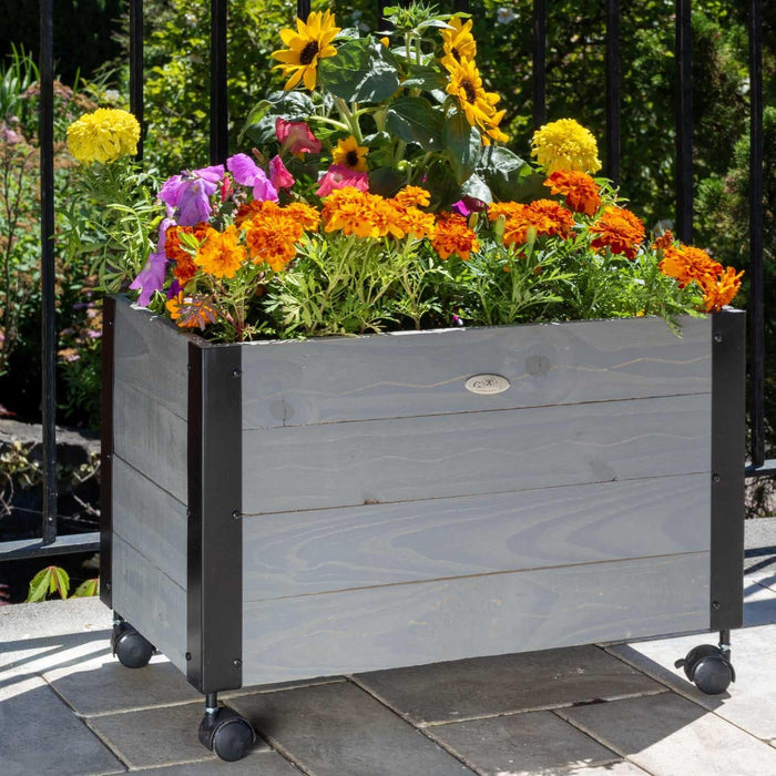 Grapevine 24N FSC Recycled Wood Planter with Casters
