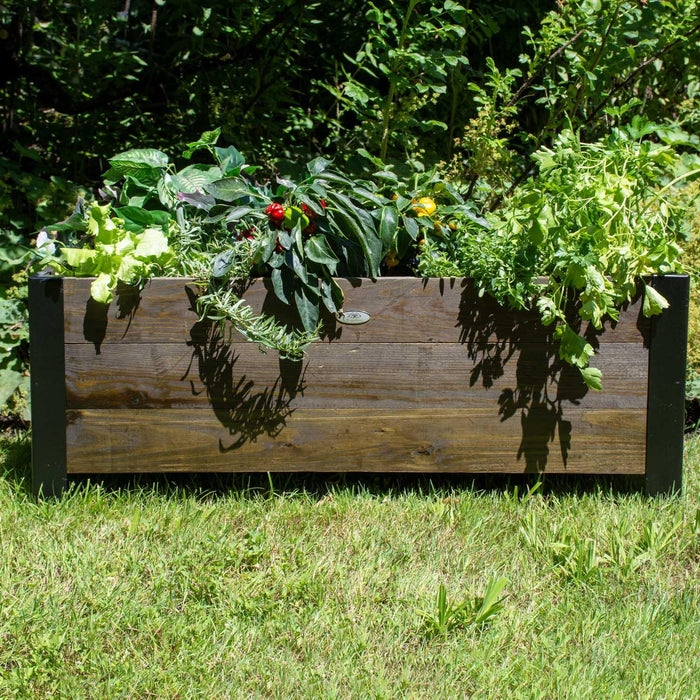 Grapevine FSC Recycled Wood Low-Profile Planter, Rectangular, 37IN x 12.6IN, Cocao Brown