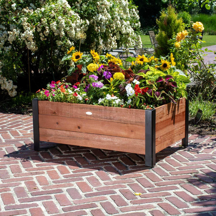 Grapevine FSC Recycled Wood Low-Profile Planter, 37IN x 24IN, Natural Brown