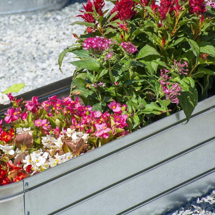 Grapevine Galvanized Steel Raised Garden Bed, Oval, 48IN, Silver