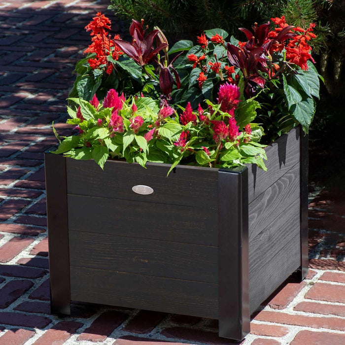 Grapevine Low-Profile Planter, FSC Recycled Wood, Square, Cocoa