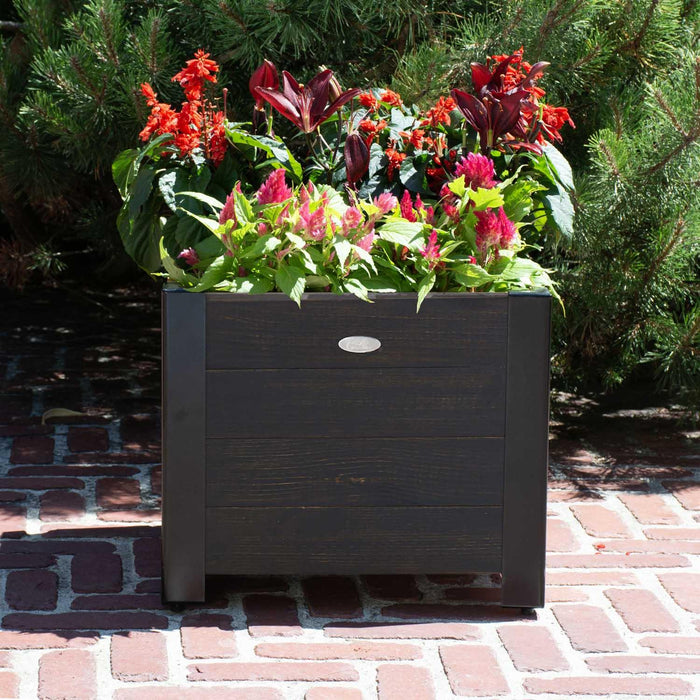 Grapevine Low-Profile Planter, FSC Recycled Wood, Square, Cocoa