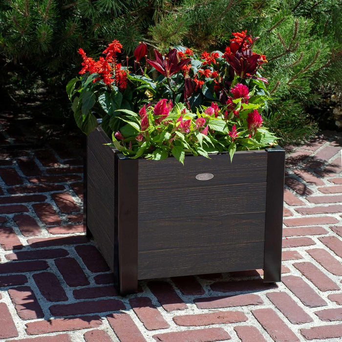 Grapevine Low-Profile Planter, FSC Recycled Wood, Square, Cocoa